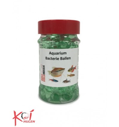 Aquarium Filter Bacterien