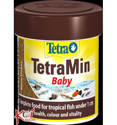 TetraMin Flakes 66ml baby