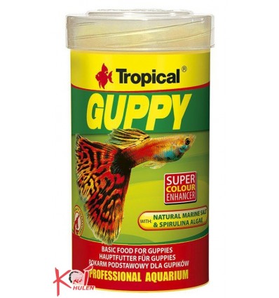 Tropical Guppy Super Color