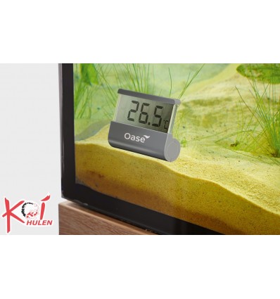 Digital thermometer