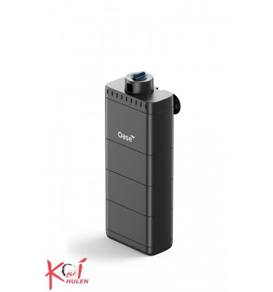 EcoFlow 100