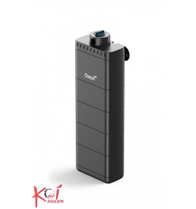 EcoFlow 150