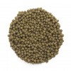 Wheat Germ
