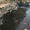 Løv net 6 x 10 m