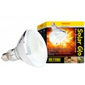 Solar Glo 160w Uva/uvb Varme & Sollys E27 Exoterra