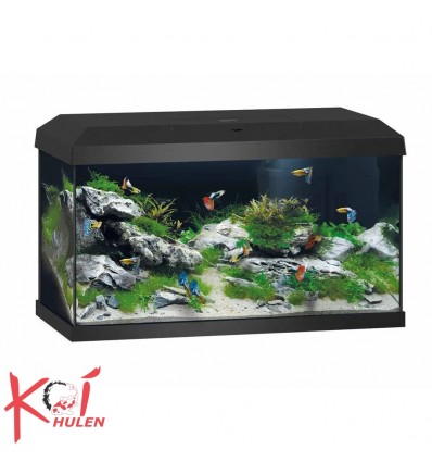 Juwel Akvarium Primo 60 Sort 2.0 61x31x37cm Ca60l