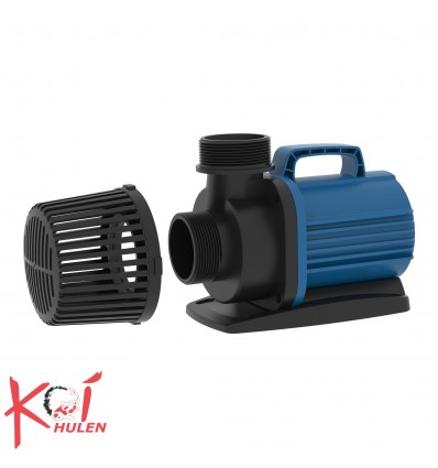 AquaForte DM-22.000 Vario dampumpe