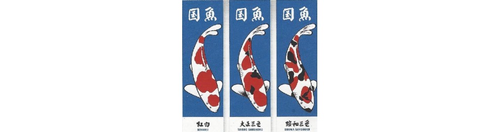 Koi flag