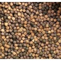 KOI NOBORI OSW MIX
