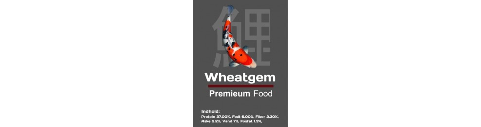  Wheat Germ